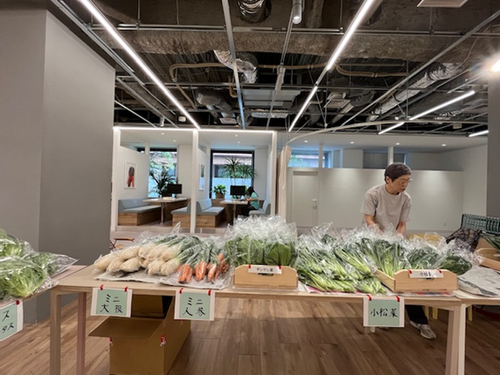 野菜販売2.png