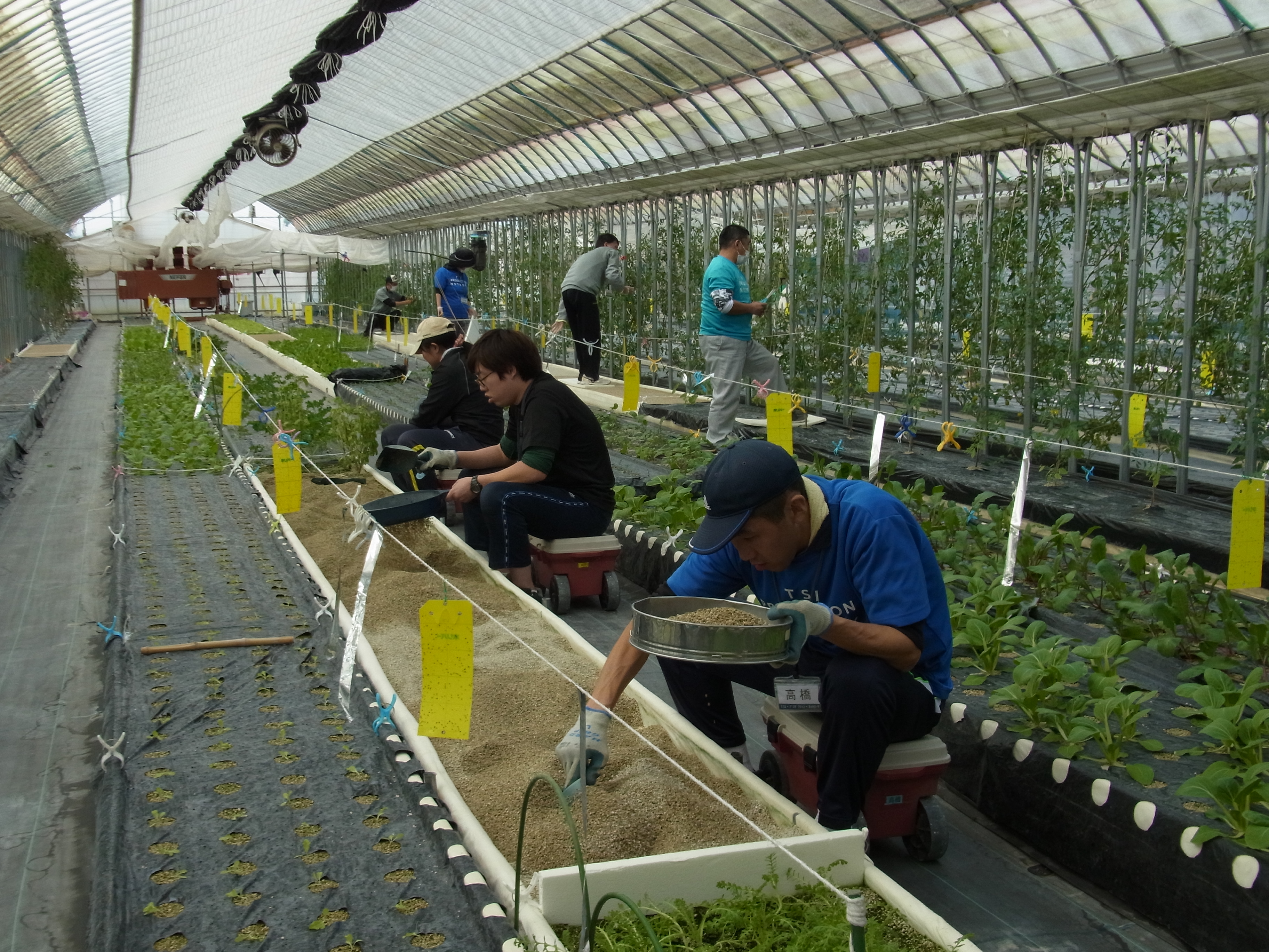 インタビュー 「野菜作りで得る、働くことの喜び」